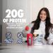 GHOST Vegan Protein Powder Cinnabon - 2lb 20g of Protein - Plant-Based Pea & Organic Pumpkin Protein - Post Workout & Nutrition Shakes Smoothies & Baking - Soy & Gluten-Free - Buy Online on GoSupps.com