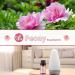 Peony Essential Oil 10ml - 100% Pure Organic Fragrance Oil for Aromatherapy, Diffuser, Candle Making, Soap Making - Brown Bottle - Pack of 1 - Buy Online on GoSupps.com