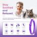 4 Pcs Pheromone Cat Calming Collars - Stress Relief & Comfort Starter Kit for Cats | Adjustable Anti-Stress Solutions - Buy Online on GoSupps.com