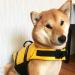 Dog Life Jacket Dog Life Vest Camo with Reflective Stripes Adjustable Dog Lifesaver Pet Life Preserver Dog Life Jackets with High Buoyancy Swimsuit for Small Medium and Large Dogs Color-A L - Buy Online on GoSupps.com