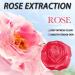 Rose Soap Handmade Soap Bar Natural Soap with Rose Essential Oil Facial Soap Bar Cleanser Suitable for All Skin Types Face & Body Cleansing Hydrating Moisturising Exfoliating Vegan & Residue-Free 1 - Buy Online on GoSupps.com