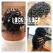 Buy All-Natural Loc Retwisting Butter & Moisturizer - No Build-Up Coconut Lemongrass for Healthy Locs - Buy Online on GoSupps.com