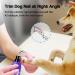 Casfuy Claw Grinder for Dogs Professional 2-Course Electric Claw Cutter for Painless Paw Care & Smoothing Ideal for Small & Medium Dogs and Cats Violet - Buy Online on GoSupps.com