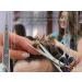 Premium Japanese Hairdressing Scissors with Micro Toothing - 6 Solingen Precision & Storage Case | International Shipping - Buy Online on GoSupps.com