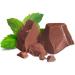 Buy BAR PROTEIN 20G MINT CHOC Delicious High-Protein Snack for Fitness Enthusiasts | International Shipping Available - Buy Online on GoSupps.com