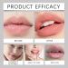 Soin pour les L vres Exfoliant Masque Baume pour les L vres & Gommage pour les L vre Lip Balm Masque de Nuit pour les L vre pour liminer les Peaux Mortes et Les Soins de la Peau des Levres 15g - Buy Online on GoSupps.com