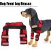 Dog Front Leg Protector 1 Pair Dog Front Leg Braces Wrist Guard for Ligament Injuries Sprains for Loss of Stability(#1 M) - Buy Online on GoSupps.com