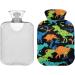 Shop Naanle Vintage Dinosaurs Heat Bottle - 2L Transparent Hot Water Bottle for Bed & Pain Relief | Hand & Feet Warmer - Buy Online on GoSupps.com