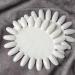 10Pcs Nail Polish Practice Wheel- Nail Art Tips for Gel and False Display - Buy Online on GoSupps.com