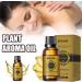 Natural Ginger Oil 10ml | Essential for Abdominal Lymphatic Drainage & Relaxation | Massager Liquid | Premium Quality - Buy Online on GoSupps.com