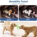 Etaccu Dog Toys Set 8 Indestructible Cotton Rope Toys for Small Dogs | Interactive Puppy Toys (Green) - Buy Online on GoSupps.com