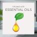 Air Wick Essential Mist 3 Ct Sleep Essential Oils Refill - Air Freshener & Aroma Diffuser - Buy Online on GoSupps.com