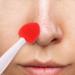 Beaupretty Silicone Exfoliating Lip Brush Set - 6 Double Sided Lip Scrubbers for Soft Plump Lips | Ideal for Dark Lips & Face Cleaning - Buy Online on GoSupps.com