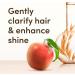  Aveeno Aveeno Clarify and Shine Soothing Scalp Shampoo with Apple Cider Vinegar for All Hair Types 300ml - Buy Online on GoSupps.com