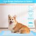 Super Absorbent Waterproof Dog Training Pads - 100 Count Extra Small 28 x 30 Hausbreaking Pet Pads - Ideal for Puppies - Blue XL 71x76cm - Buy Online on GoSupps.com