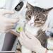 Pet Thermometers For Cats Ear Thermometers For Dogs Dog Tech Supplies Veterinary Thermometers Accurate Puppy Fever Detection Device Provides - Buy Online on GoSupps.com