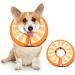 Ducomi Inflatable Hinges for Dogs & Cats - Comfort & Freedom During Recovery | Prevent Scratches & Bites - Buy Online on GoSupps.com