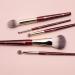 BK Beauty Precision Brush Collection (5PC) - Professional Makeup Brush Set for Flawless Bronzer Blush Contour & Eye Makeup | Premium Quality Face Brushes - Buy Online on GoSupps.com