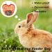 Rabbit Hay Feeder Guinea Pig Hay Rack Manger Holder Hanging Feeding Storage Made of Oxford Cloth For Rabbits Guinea Pigs Ferrets and Other Small Animals (Orange) - Buy Online on GoSupps.com