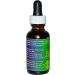 Queen Anne's Lace Flower Essence 1oz | FES Dropper Herbal Supplement - Buy Online on GoSupps.com