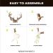Mountain Mike's Reproductions Skull Master - Universal Antler Mounting Kit - European-Style - Fits Most Antlers - White Natural - Buy Online on GoSupps.com