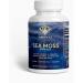 Amonas Sea Moss Capsules - 1400mg - 60 Capsules - Irish Sea Moss Advanced Superfood with Bladderwrack & Burdock Root - High-Potency Vegan Made in The USA - for Digestive Immune Thyroid Support - Buy Online on GoSupps.com