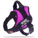 Pawpawify dog harnesses against pulling with a personalized name and telephone number hard-wearing prevents tug pulling or choking for training and walking XS Chest 17-22in pink