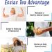 Essiac Tea Advantage 180 Capsules 900mg - Herbal Supplement and Immune Booster - Buy Online on GoSupps.com