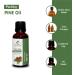 Pine Oil -(Pinus Sylvestris)- Essential Oil 100% Pure Natural Undiluted Uncut Therapeutic Grade Oil 3.38 FL.OZ - Buy Online on GoSupps.com