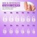 Gelike EC Extra Short Almond Soft Gel Nail Tips Kit - 240 Pieces Full Cover False Nails for Soak Off Extensions - Clear Ultra-Thin Design - Pre-buff PMMA Resin - 12 Sizes - Buy Online on GoSupps.com