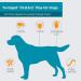 TevraPet FirstAct Plus Flea and Tick Prevention for Medium Dogs - 3 Doses (6-22 lbs) - Buy Online on GoSupps.com