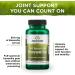 Swanson Double Strength Boswellia Herbal Supplement - Joint Support Capsules - Ayurvedic Herb for Flexibility & Mobility - 2 Pack (60 Capsules, 800mg) - Buy Online on GoSupps.com
