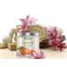 Grapefruit Scrub for Face and Body | Deep Cleansing Exfoliator for Acne-Prone Skin | Brighten Your Complexion | Pure Original - Buy Online on GoSupps.com