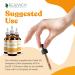 Active Rhodiola Root Extract - Natural Rosavins Liquid Supplement for Energy & Stress Relief | International Shipping Available - Buy Online on GoSupps.com