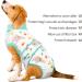 Kuoser Breathable Dog Recovery Body for Post-Op Care - Anti-Licking Leakage Protection - XXL Green (1 Pack) - Buy Online on GoSupps.com