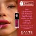  Sante Naturkosmetik SANTE Naturkosmetik Lip Booster 5 ml Hydrating Grip Primer with Hyaluronic Acid and Organic Chilli Extract for Plumped Lips - Buy Online on GoSupps.com