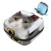 Storage bags for women's bandages cute cat white animal portable menstrual cardboard panty lores tampons women's bandages storage holder for women school office multicolored