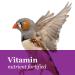 F.M. Brown's Tropical Carnival Gourmet Canary and Finch Food 1.5-lb Bag - Vitamin-Nutrient Fortified Daily Diet with Fruits Veggies Grains Seeds Herbs and Flowers - Buy Online on GoSupps.com