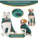 Jostift Microfiber Dog Bathrobe - Extra Absorbent & Fast Drying Dog Towel with Adjustable Straps for All Sizes - Perfect for Large and Small Dogs (M Green) - Buy Online on GoSupps.com