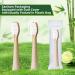 10 Pack Compatible Lumineux Electric Toothbrush Replacement Heads - Eco-Friendly Bamboo Medium | Sustainable Oral Care - Buy Online on GoSupps.com