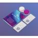 Buy Madrid Violet Colored Contact Lenses | Monthly Soft Hydrogel 2pcs + Lens Container | Natural Colors Series - 0.0 Diopters - Buy Online on GoSupps.com