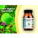 Dr. Wakde's Punarnava Capsules - 60 Veg Caps | Plant-Based Supplement | Vegan & All Natural | Made in UK | Same Day Dispatch - Buy Online on GoSupps.com