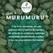 Haskell Murumuru Moisturizing Butter 1kg | Buy Internationally | Hydrating Hair Care - Buy Online on GoSupps.com