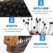 Travel Folding Boar Bristle Hair Brush for Men, Women & Kids - Portable & Collapsible Pocket Size - Ideal for Thin, Thick, Curly, Straight, Wet & Dry Hair - Restore Shine - Amber - Buy Online on GoSupps.com