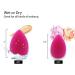 hdaba 5 Pcs Makeup Sponges Blender Beauty Foundation Blending Sponge Flawless for Liquid Cream and Powder latex free Multi-colored Makeup Sponges - Buy Online on GoSupps.com