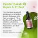  Casida Casida Dekubi Repair & Protect Oil - beneficial care for stressed skin - for the treatment of pressure sores and pressure ulcers - composed of 100% pure natural oils - 50 ml - Buy Online on GoSupps.com
