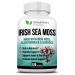 2625mg Irish Sea Moss Supplement 120 Capsules | SeaMoss Bladderwrack Burdock Root Capsules | Contain 92 Vitamins & Minerals For Immunity Gut Joint & Skin Health | Support Thyroid Energy & Digestion