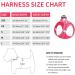 Heele Dog Harness for Small & Medium Dogs - Adjustable Reflective Soft Mesh Puppy Harness in Rose Red - Comfort & Safety for Your Pet - Buy Online on GoSupps.com