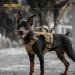 Oneigris Dog Harness and Leash Set | Mini Trooper Puppy Dishes with Control Handle for Extra Small to Medium Dogs - Brown XXS - Buy Online on GoSupps.com