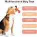Tonyfy Dog Toys - Squeaky Plush & Interactive Cotton Rope Toys for Puppies & Small/Medium Dogs (Orange Fox) - Buy Online on GoSupps.com